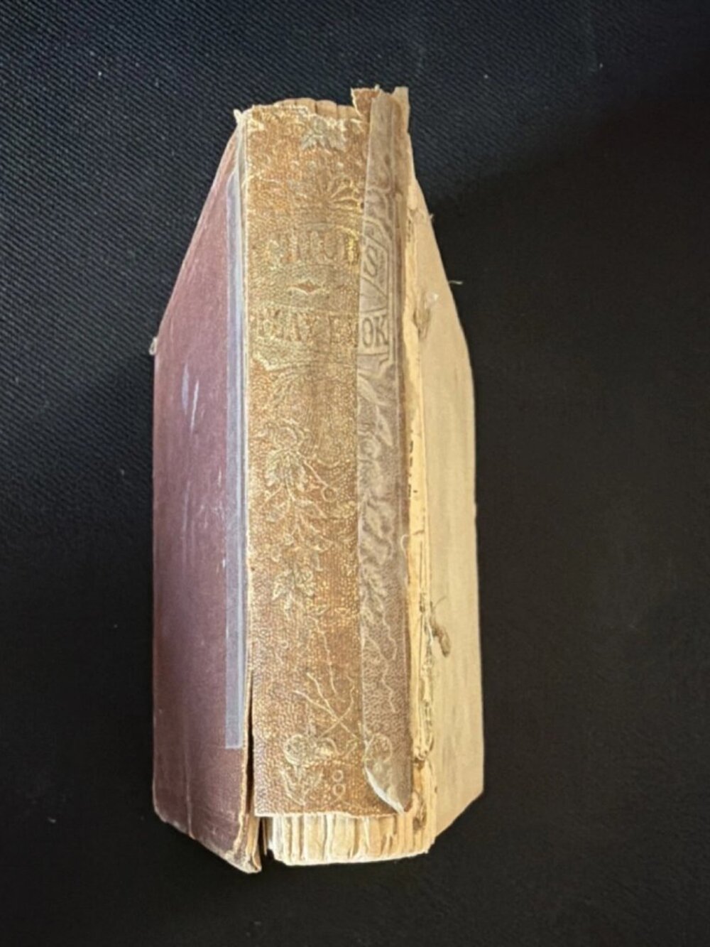 Item #229 Child's Play Book Amusement & Pleasure G.W. Cottrell ~1870
